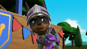 Angry Paw Patrol GIF by Spin Master