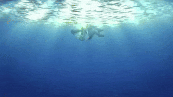 Drowning Los Angeles GIF by creating music forever