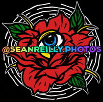 seanreillyphotos rainbow rose eye photographer GIF