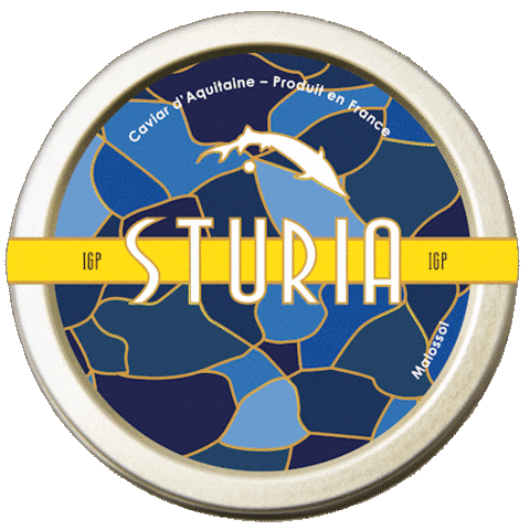 Gourmet Gastronomy Sticker by Caviar Sturia