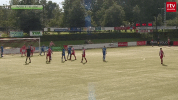 HZVV GIF