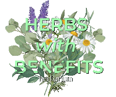 Therme Bucuresti Sticker