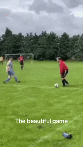 Roberto Carlos Footballfail GIF