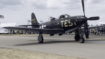 Airplane Bell GIF
