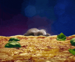 Pizza Dinner GIF by comparethemarket