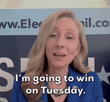 Election Day Virginia GIF by GIPHY News