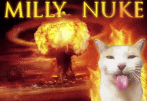Truth Nuke GIF