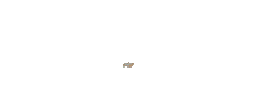 ESA Pernambuco Sticker