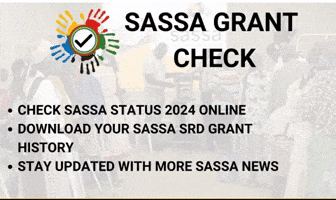 Sassa GIF