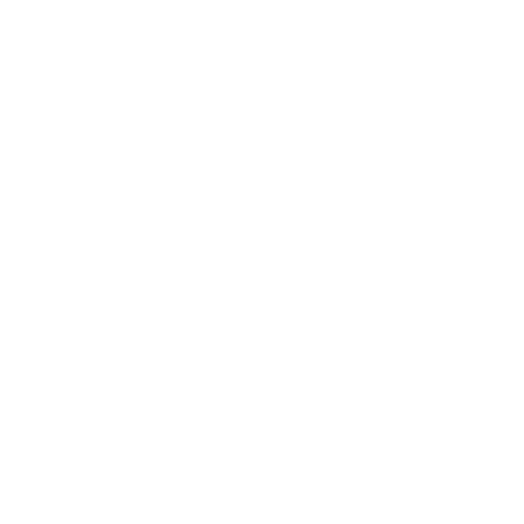 Echelon Festival Sticker
