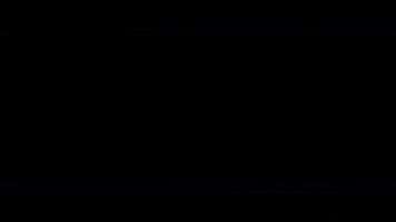 TzviSimcha GIF