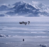 Sad Penguin GIF
