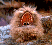 Fizzgig GIFs - Get the best GIF on GIPHY