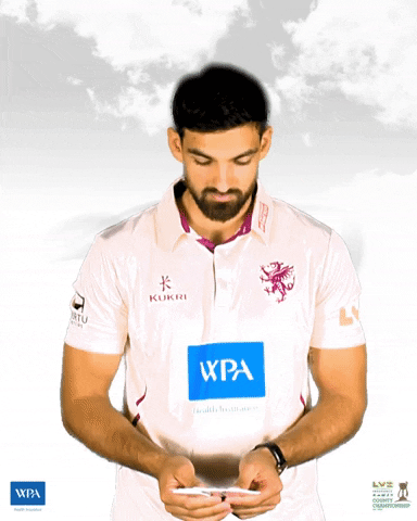 Wpa Whatever GIF by Somerset County Cricket Club