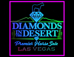 Las Vegas GIF by MM Auction Services, LLC