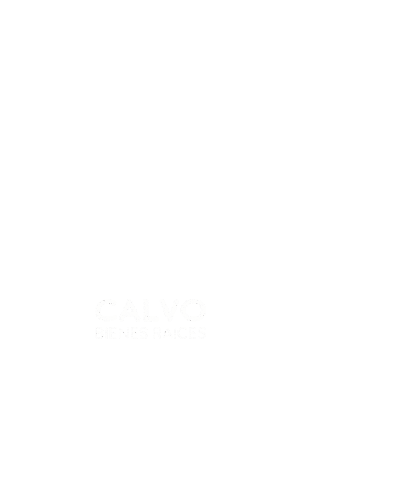 CalvoBR Sticker