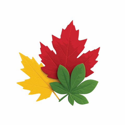 GIF by SWISONTARIO