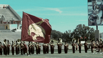 Sport College GIF by Texas State Football