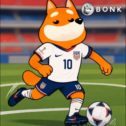 United States Of America Crypto GIF by BONK