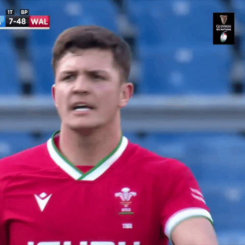 Point Out Wales Rugby GIF by Guinness Six Nations