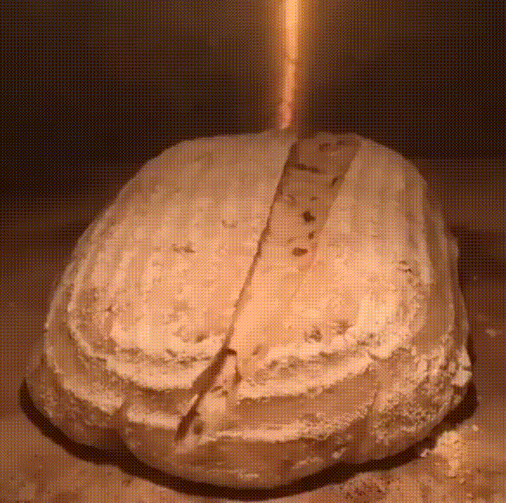 Bread Satisfying GIF - Find & Share on GIPHY