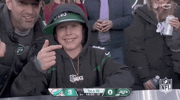 Waving National Football League GIF by NFL
