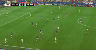 France GIF
