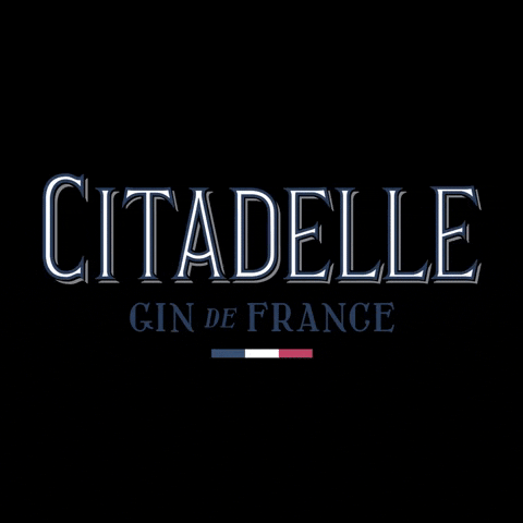 France Logo GIF by Maison Ferrand