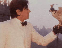 Cool GIF
