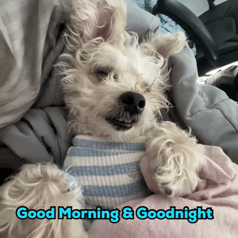 Marshi GIF