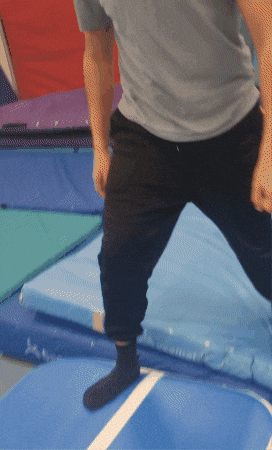 Quadolympicsbackflip GIF