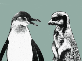 Penguin Zoo GIF
