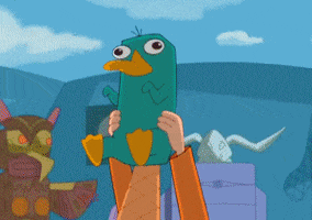 tv shows perry GIF