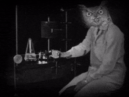 Talking Video Art GIF