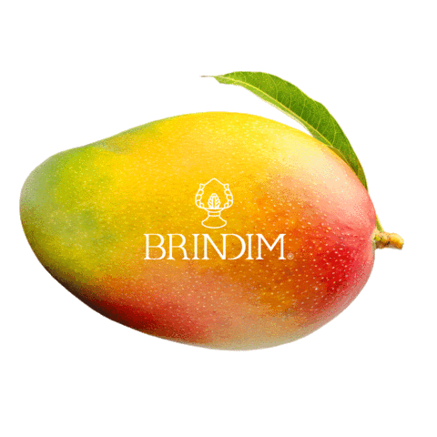 Brindim Sticker