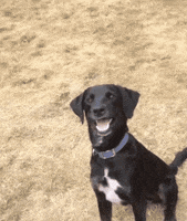 200.gif