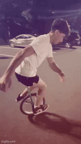Ts Bongo GIF