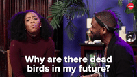 Dead-bird GIFs - Get the best GIF on GIPHY