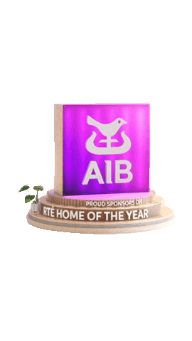 Hoty Home Of The Year Sticker by AIB
