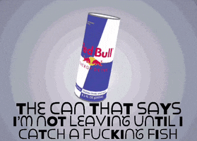 Fishing Veterans GIF by VETS FISH