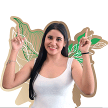 Volterra Plaza Suites GIF