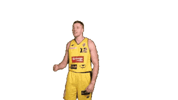 Basketball Scream Sticker by Trefl Sopot