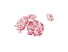 Animated Sticker