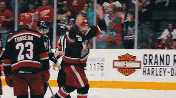 griffinshockey  GIF