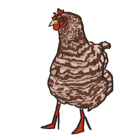 Farm Animal Chicken Sticker