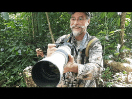 Canon GIF