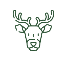 Travel Viaje Sticker by Icárion