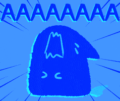 Cat Kitty GIF