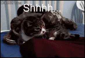 end patience GIF