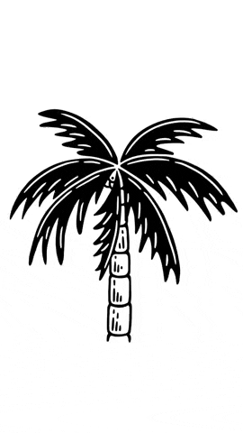 SurfariSurfShop GIF